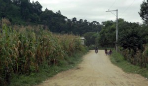SMALL BUSINESS – GUATEMALA