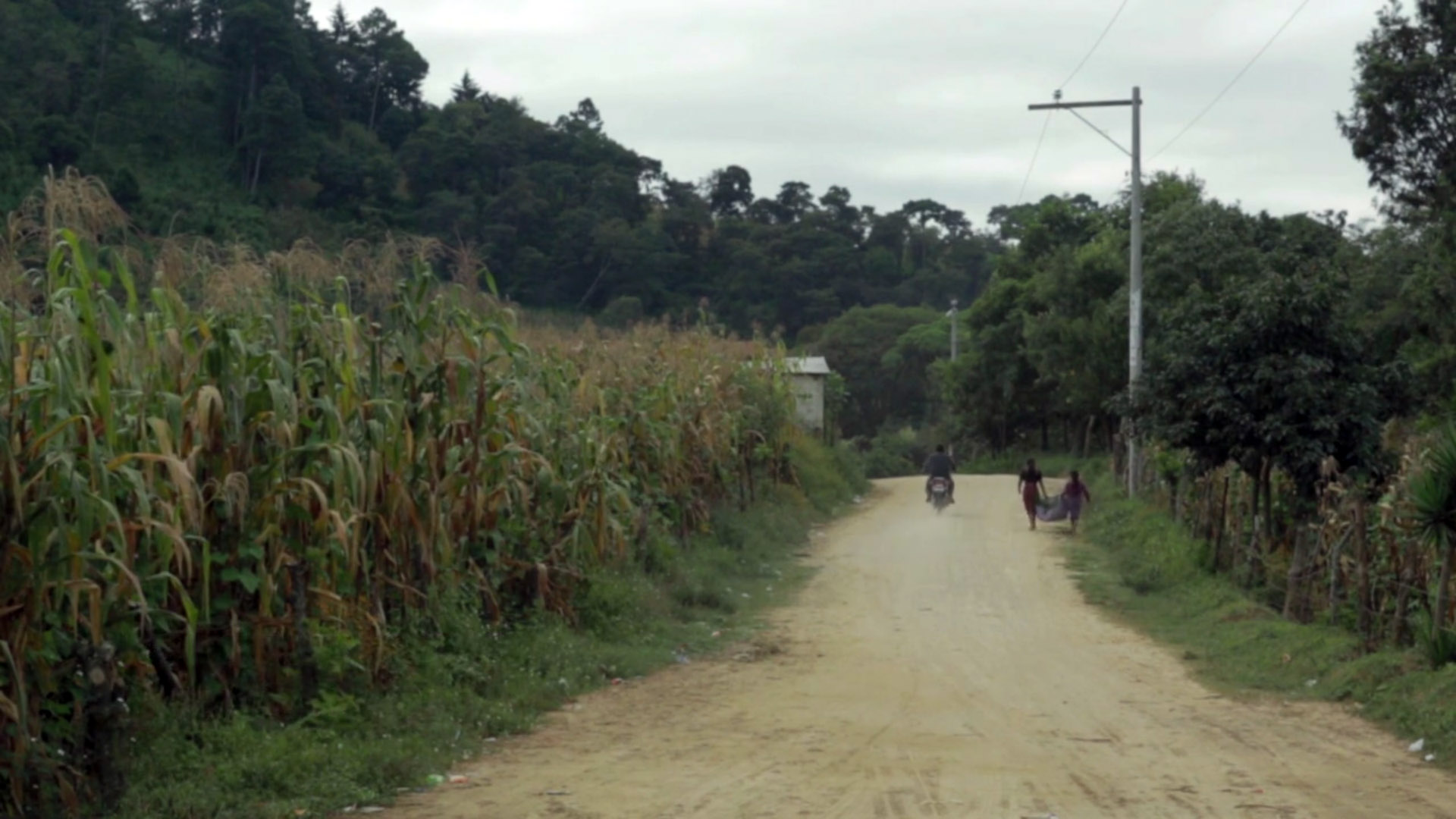 SMALL BUSINESS – GUATEMALA