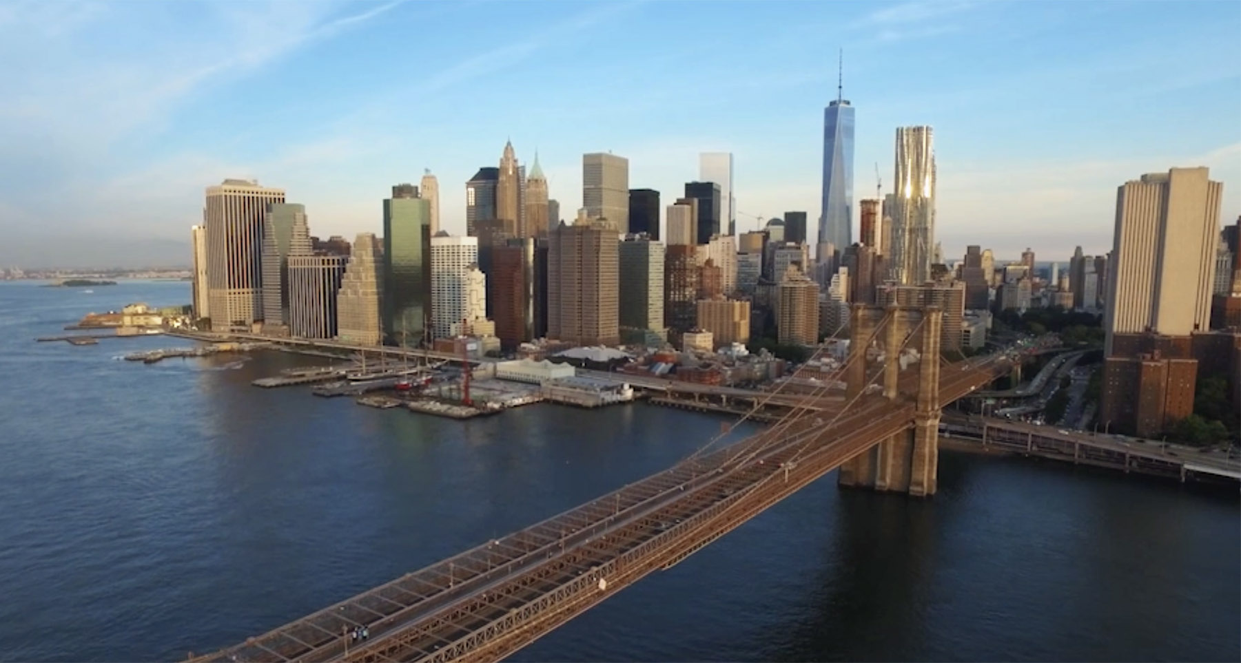 New York Skylines