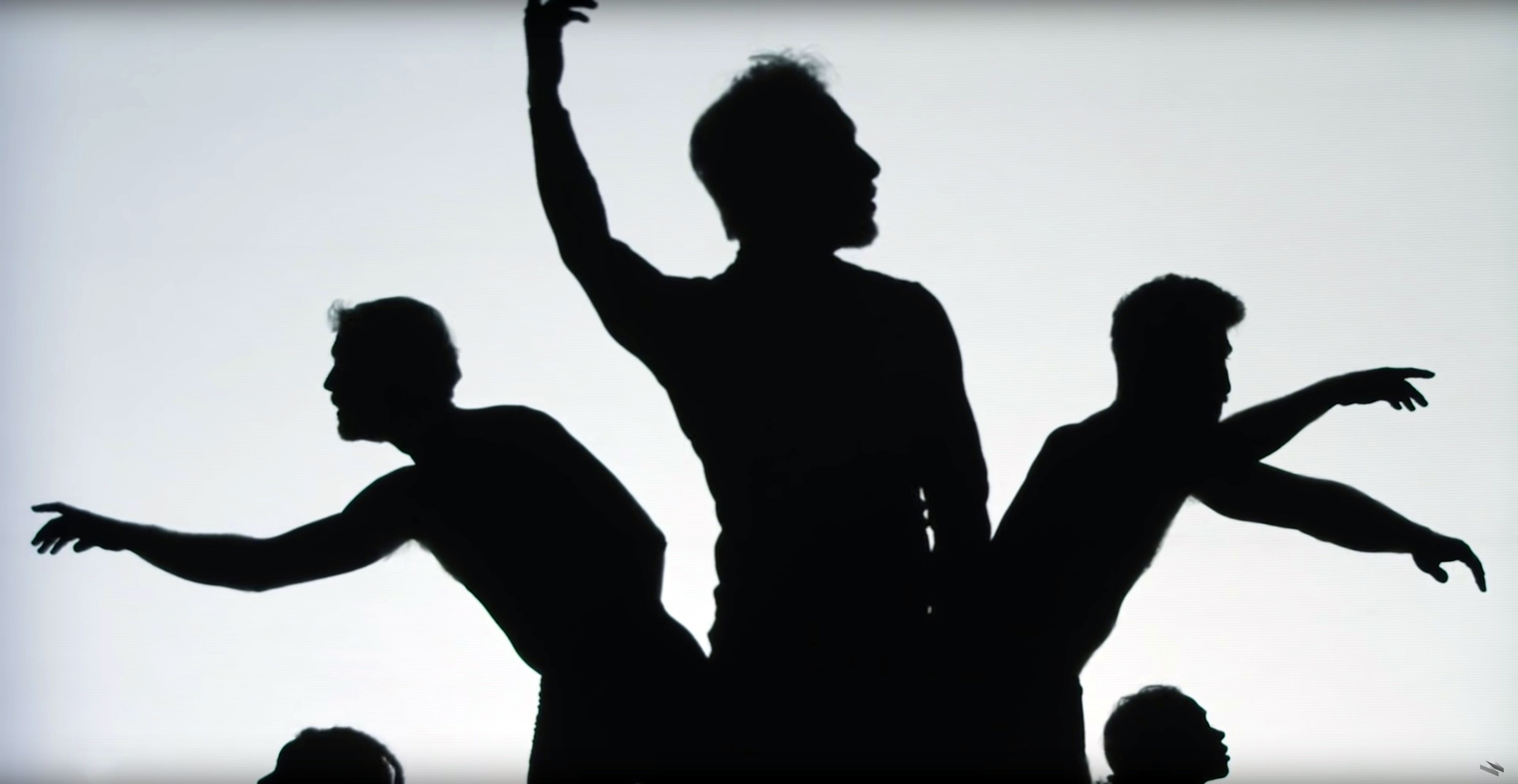 Pilobolus
